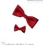 Zestaw czerwono-granatowych much dla taty i synka - muszka duża i mała