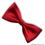 Muszka czerwona dla chłopca