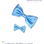 Zestaw błękitnych much dla Taty i synka